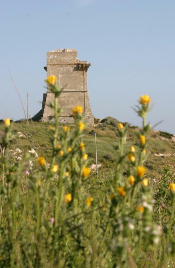 Apartmán Sul Mare E Sotto Le Stelle Di Roccazzelle-Manfria Gela Exteriér fotografie